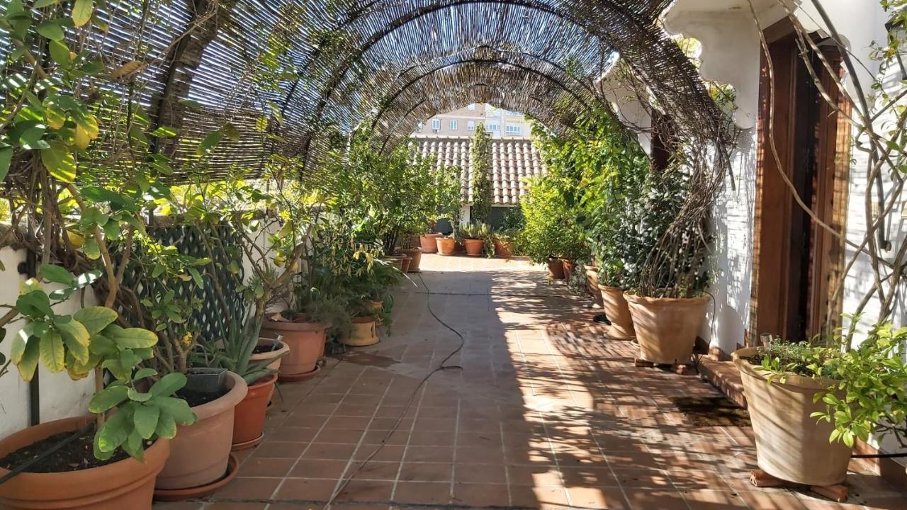 El Jardin De Wallada Córdoba Eksteriør bilde